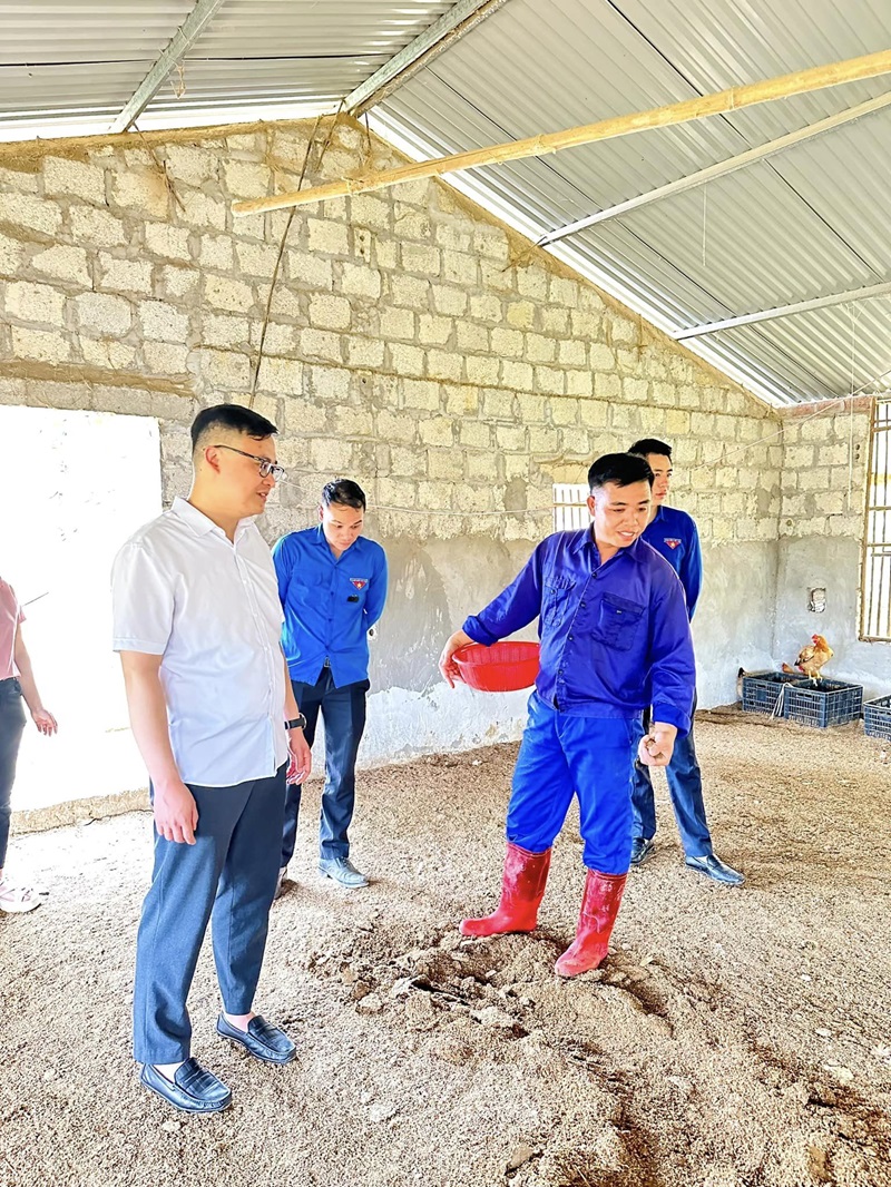 Lãnh đạo Thành Đoàn Lạng Sơn tham quan mô hình chăn nuôi gà của anh Hoàng Văn Sen